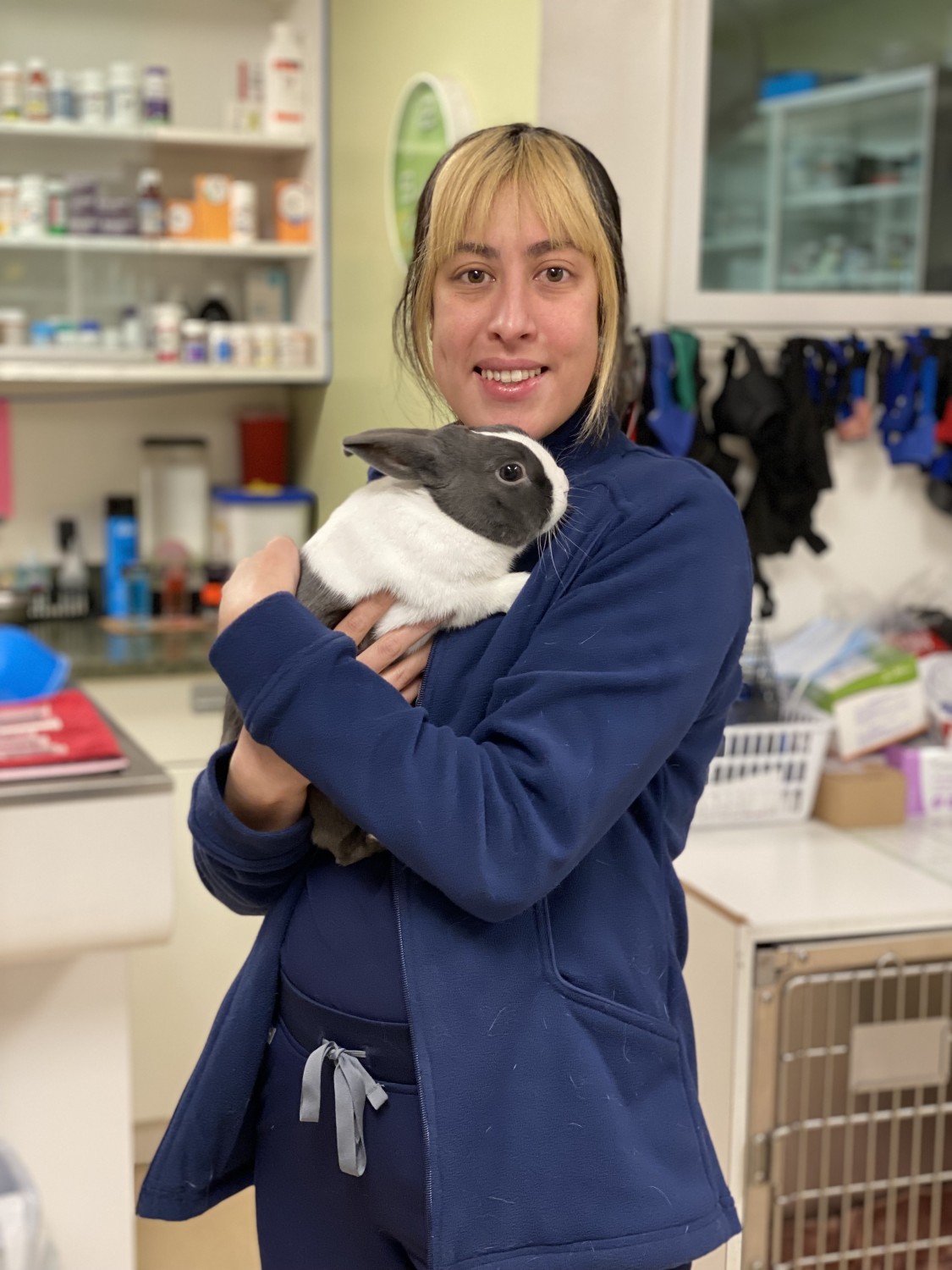 Vet tech holding rabbit