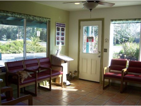Our Waiting Room